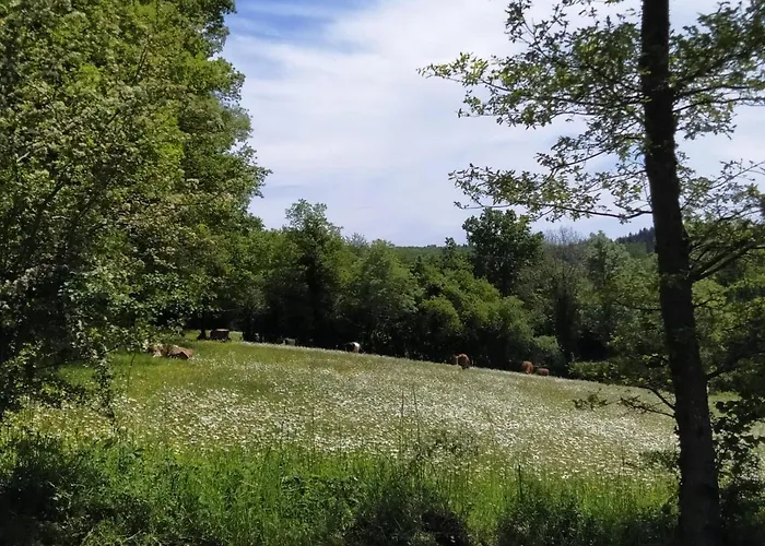 Cararetro , Caravane Chauffee Et Climatisee